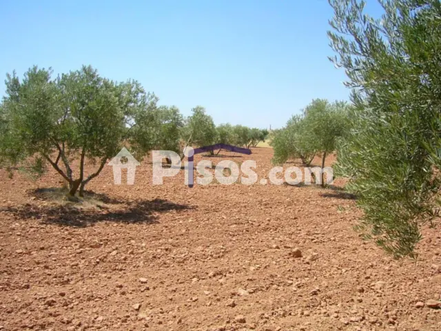 Finca rústica en venta en Carretera de Argamasilla
