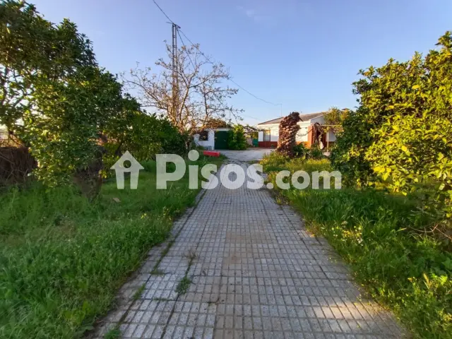 Finca rústica en venta en Valverde de Mérida, Valverde de Mérida de 75.000 €