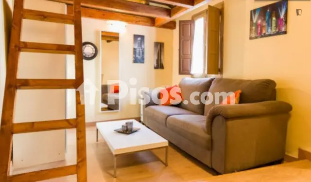 Estudio en alquiler en Albaicín, Albaicín (Granada Capital) de 550 €<span>/mes</span>