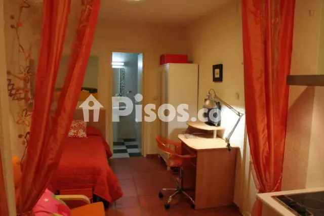 Estudio en alquiler en Centro-Catedral, Centro-Catedral (Granada Capital) de 370 €<span>/mes</span>
