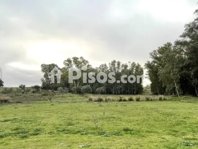 Finca rústica en venta en los Milagros-La Corchera, Los Milagros-La Corchera (Mérida) de 37.500 €