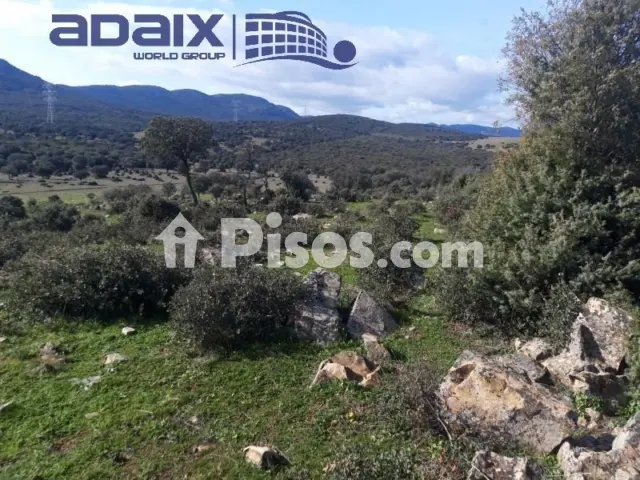 Finca rústica en venta en Calle Calle