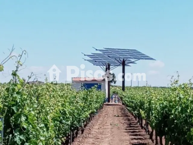 Terreno en venta en Tomelloso