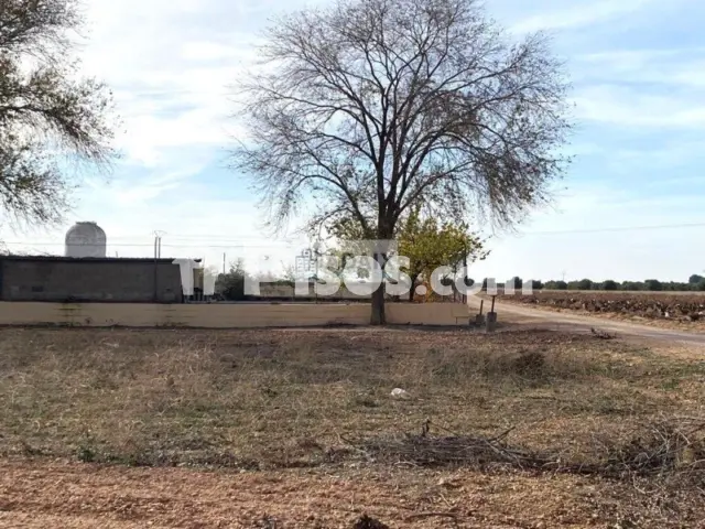 Terreno en venta en Socuéllamos