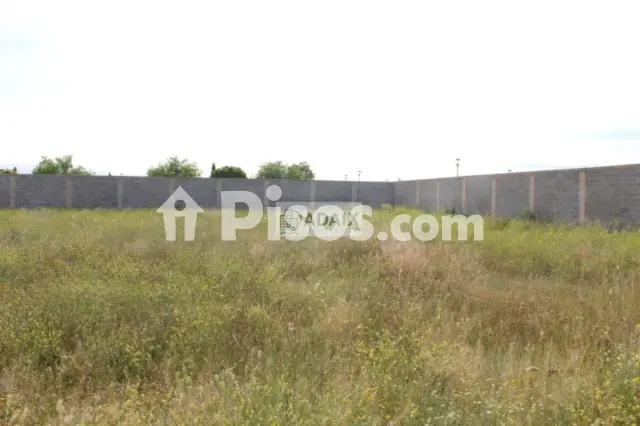 Terreno en venta en Tomelloso