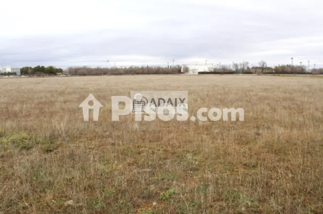 Terreno en venta en Tomelloso