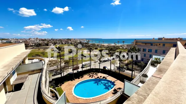 Ático en alquiler en Es Portixol-Es Molinar, Es Portixol-Es Molinar (Distrito Platja de Palma. Palma de Mallorca) de 2.500 €<span>/mes</span>