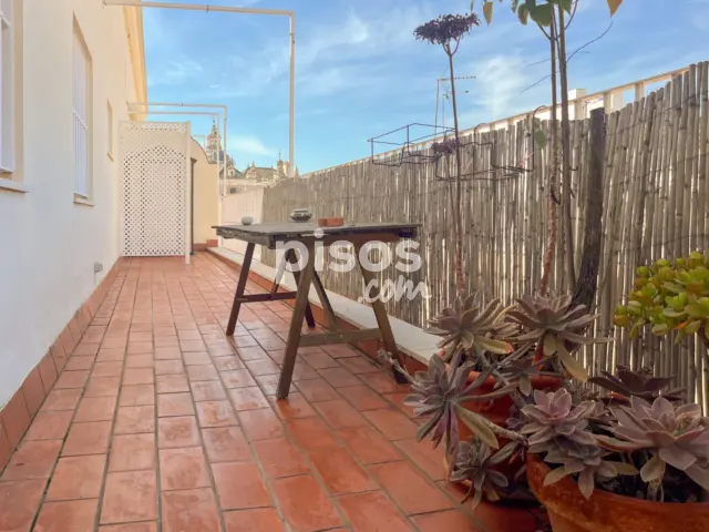 Ático en alquiler en Centro -  Plza. Encarnación - Santa Catalina, Alfalfa (Distrito Casco Antiguo. Sevilla Capital) de 1.600 €<span>/mes</span>