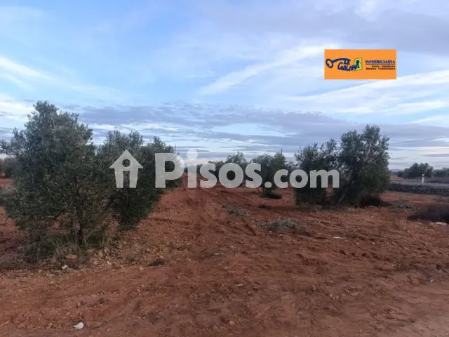Finca rústica en venta en Carretera Moral