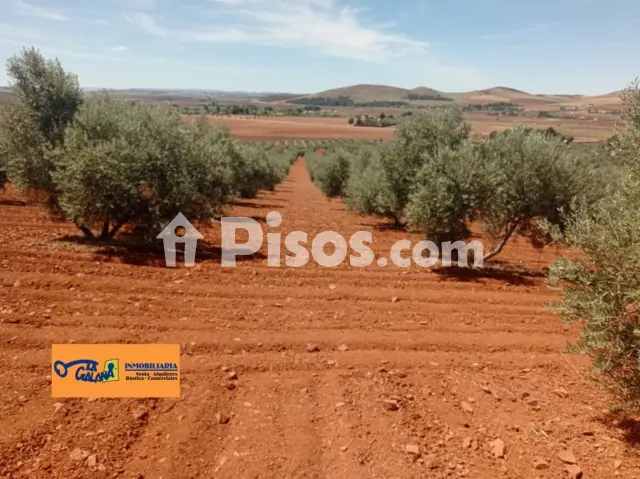Finca rústica en venta en Carretera Santa Cruz