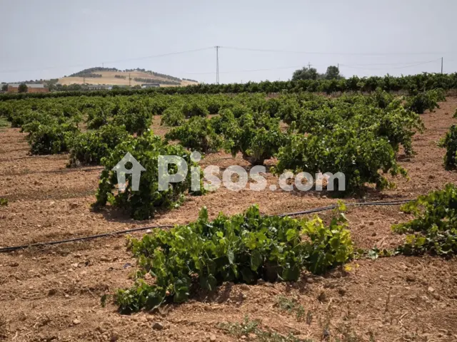 Finca rústica en venta en Valdepeñas