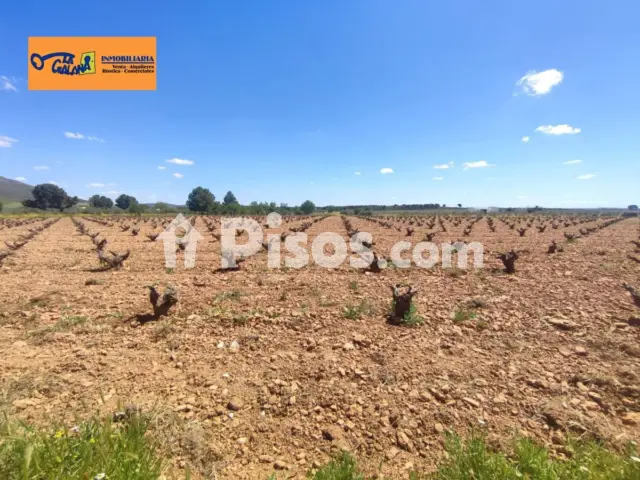 Finca rústica en venta en Valdepeñas