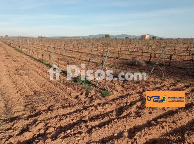 Finca rústica en venta en Carretera Daimiel