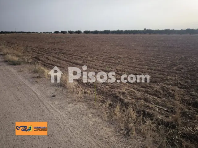 Finca rústica en venta en Valdepeñas