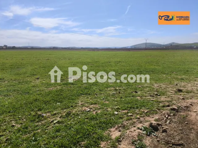 Finca rústica en venta en Carretera Santa Cruz