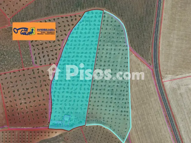 Finca rústica en venta en Carretera Torre Nueva