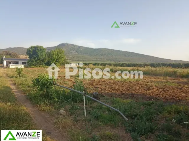 Finca rústica en venta en Calle Macillaso, Número 0, Nueva Ciudad (Mérida) de 140.000 €