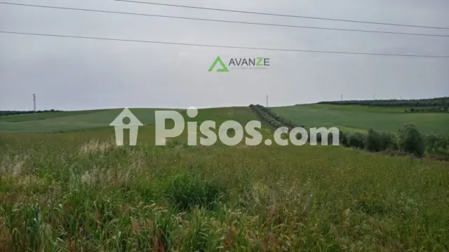 Finca rústica en venta en Barriadas - San Andrés - Cantaranas, Reina Sofía-Salesianos-Bodegones (Mérida) de 45.000 €