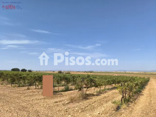 Finca rústica en venta en Torralba de Calatrava