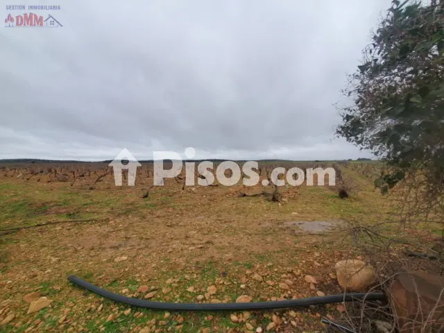 Finca rústica en venta en Torralba de Calatrava