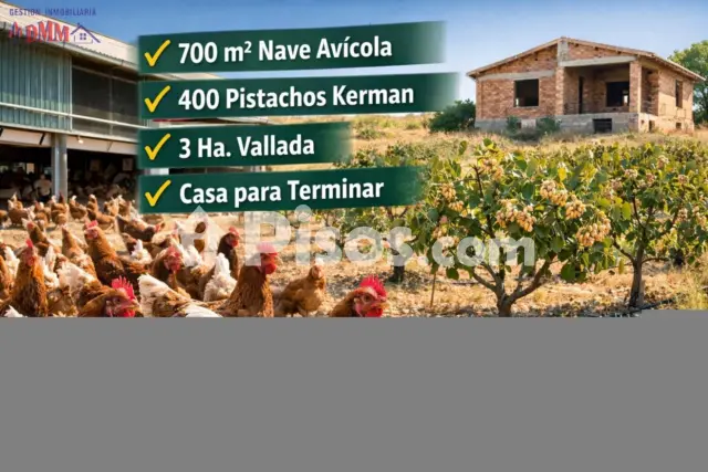 Finca rústica en venta en Ciudad Real
