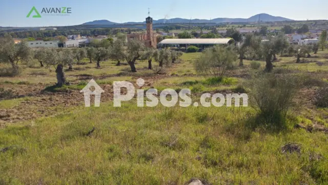 Finca rústica en venta en Barriadas - San Andrés - Cantaranas, Reina Sofía-Salesianos-Bodegones (Mérida) de 75.000 €