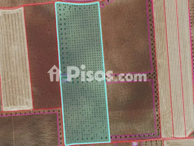 Finca rústica en venta en Valdepeñas
