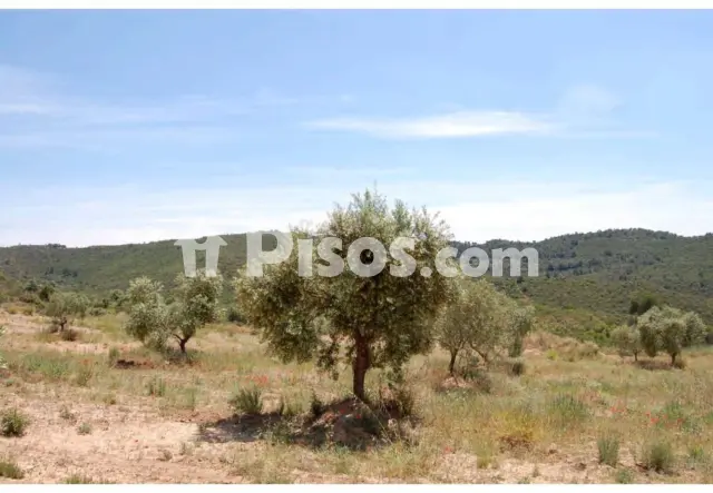 Finca rústica en venta en Granadella (La), La Granadella de 850.000 €