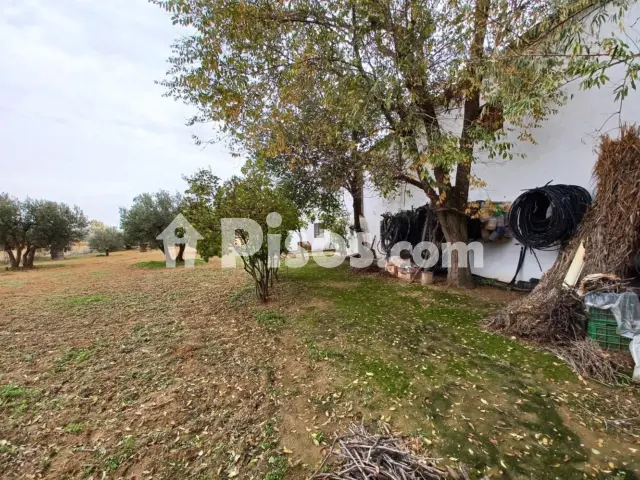 Finca rústica en venta en San Isidro, La Roda de 150.000 €