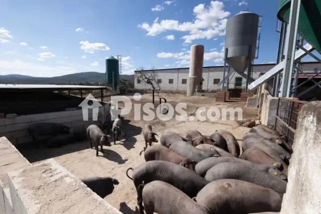 Finca rústica en venta en Cañaveral de Leon, Cañaveral de León de 1.000.000 €