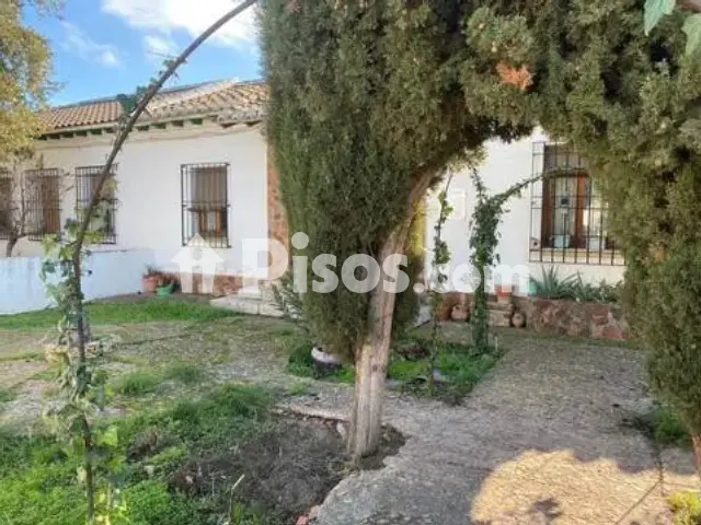 Chalet en venta en Almagro