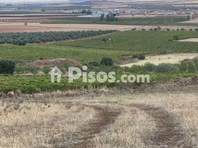 Terreno en venta en Calle Carretera de Valenzuela de Calatrava S-N