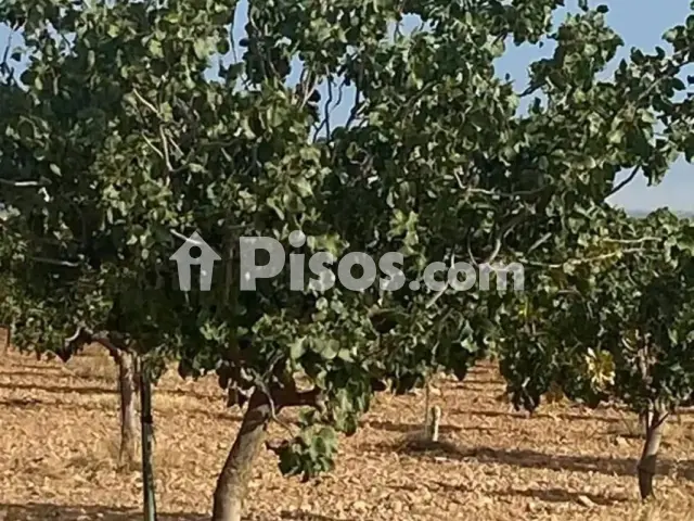 Terreno en venta en Tomelloso