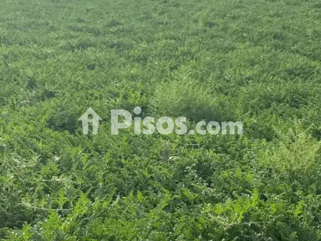 Terreno en venta en Tomelloso