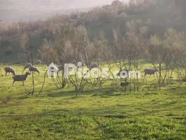 Casa rústica en venta en Almodóvar del Campo