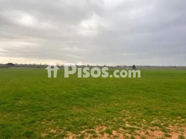Terreno en venta en Calle Poblado Peralvillo No Number