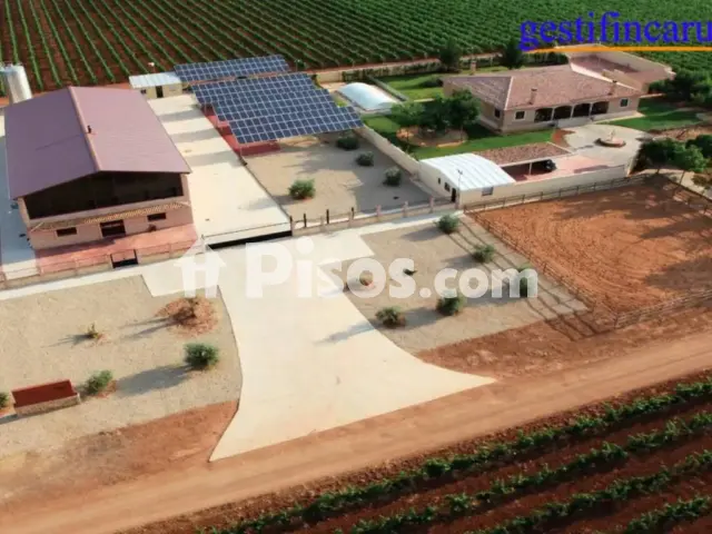 Terreno en venta en Tomelloso