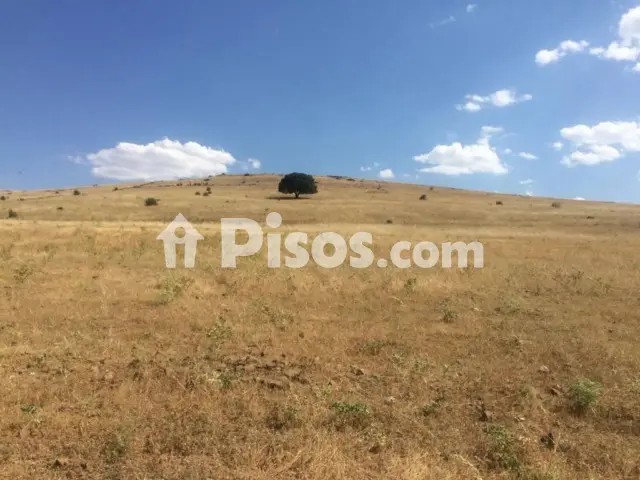 Terreno en venta en Porzuna
