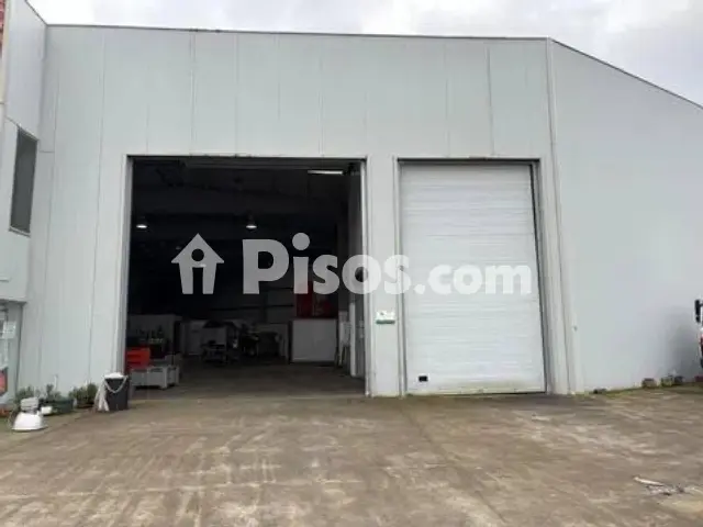Pis