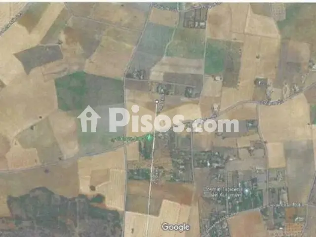 Terreno en venta en Carrión de Calatrava