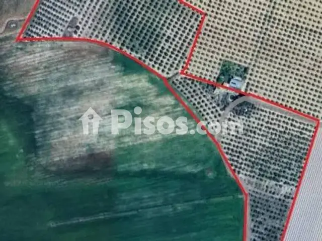 Terreno en venta en Daimiel