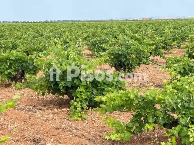 Terreno en venta en Tomelloso