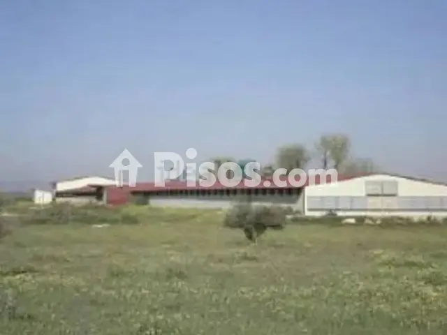 Terreno en venta en Herencia