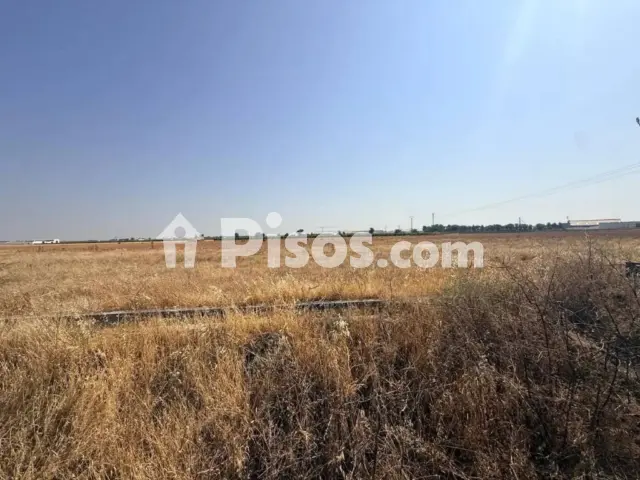 Terreno en venta en Tomelloso
