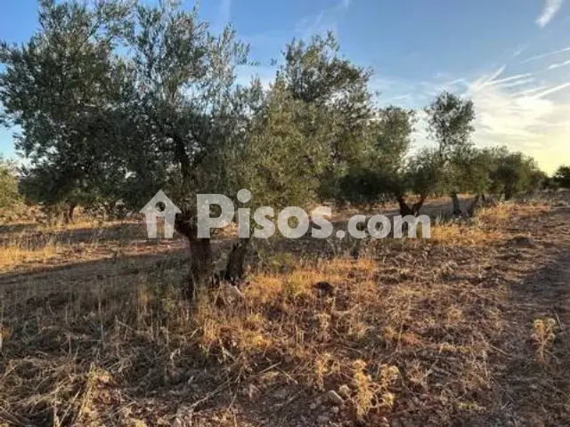 Terreno en venta en Calle Cr-P-2122, 4