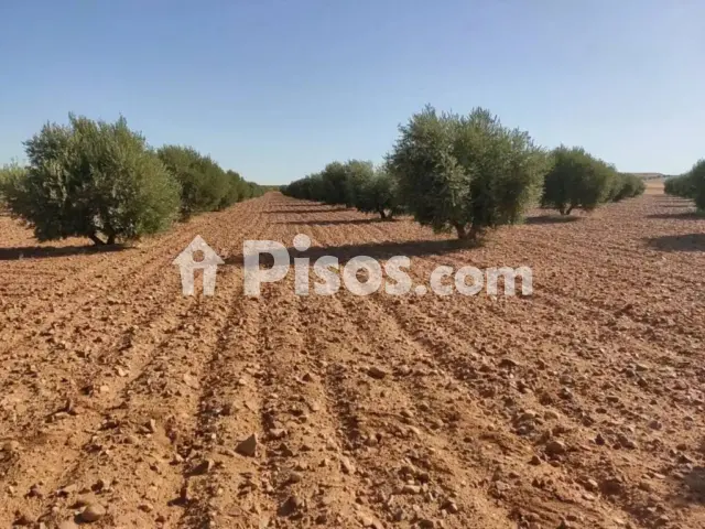 Terreno en venta en Avenida Alcázar de San Juan