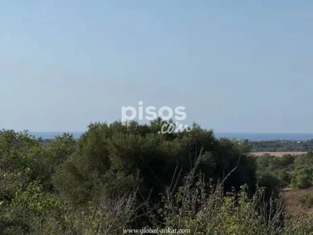Casa rústica en venta en Manacor, Manacor de 620.000 €