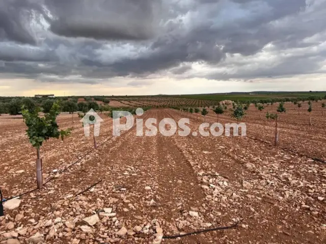 Terreno en venta en Avenida de la Constitución