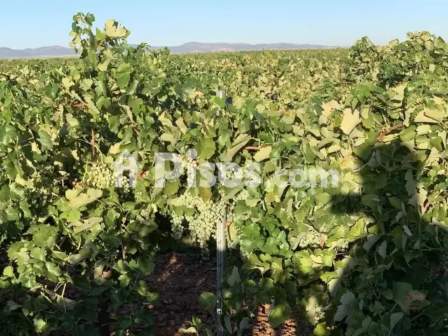 Terreno en venta en Calle Carretera Herencia, 14