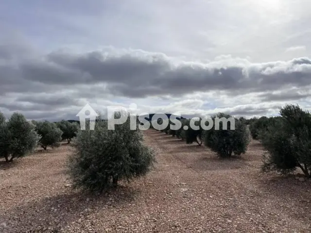 Terreno en venta en Avenida Alcázar de San Juan